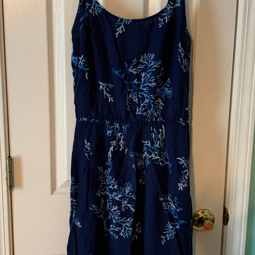 Blue Dress